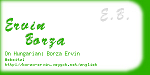 ervin borza business card